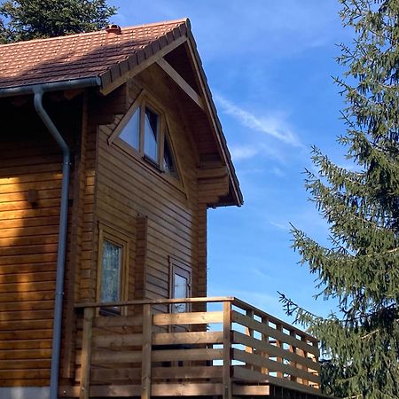Chalet Authentique Au Calme, En Lisiere De Foret, Montagne, Sentiers 15Mn Gerardmer & Alsace "Chalet Mon Beau Sapin" Anould Esterno foto
