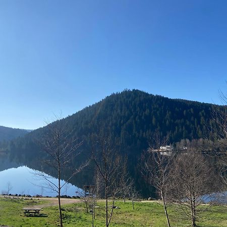 Chalet Authentique Au Calme, En Lisiere De Foret, Montagne, Sentiers 15Mn Gerardmer & Alsace "Chalet Mon Beau Sapin" Anould Esterno foto