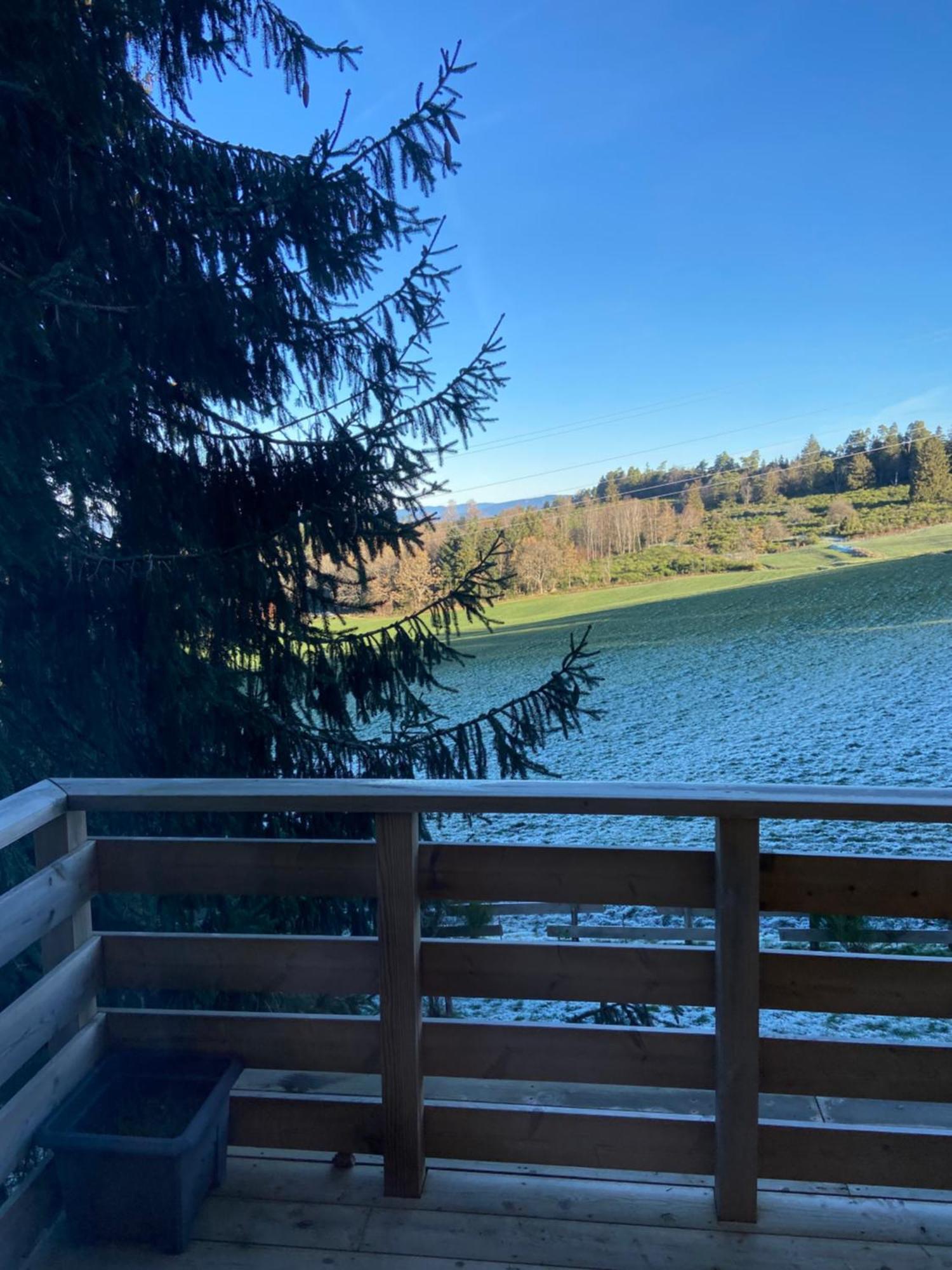 Chalet Chaleureux Avec Cheminee Et Vue Montagne Proche Gerardmer "Mon Beau Sapin" Villa Anould Esterno foto