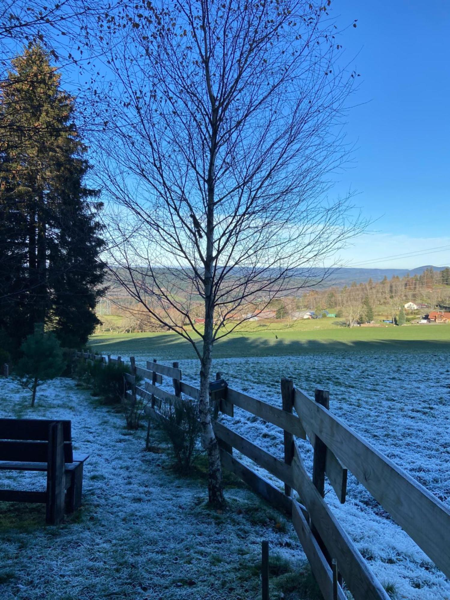 Chalet Authentique Au Calme, En Lisiere De Foret, Montagne, Sentiers 15Mn Gerardmer & Alsace "Chalet Mon Beau Sapin" Anould Esterno foto