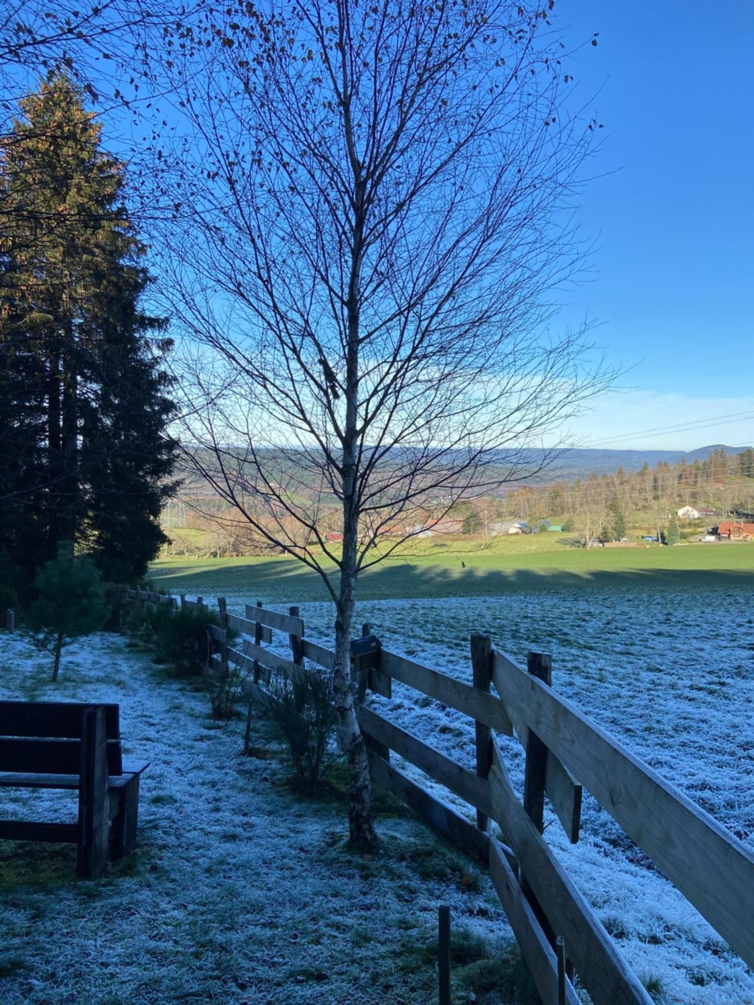 Chalet Chaleureux Avec Cheminee Et Vue Montagne Proche Gerardmer "Mon Beau Sapin" Villa Anould Esterno foto