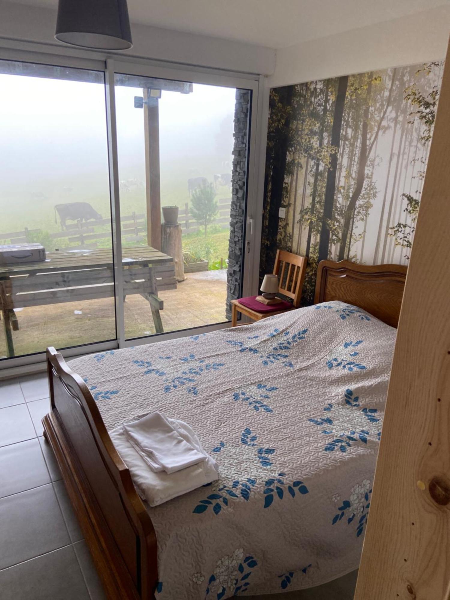 Chalet Authentique Au Calme, En Lisiere De Foret, Montagne, Sentiers 15Mn Gerardmer & Alsace "Chalet Mon Beau Sapin" Anould Esterno foto