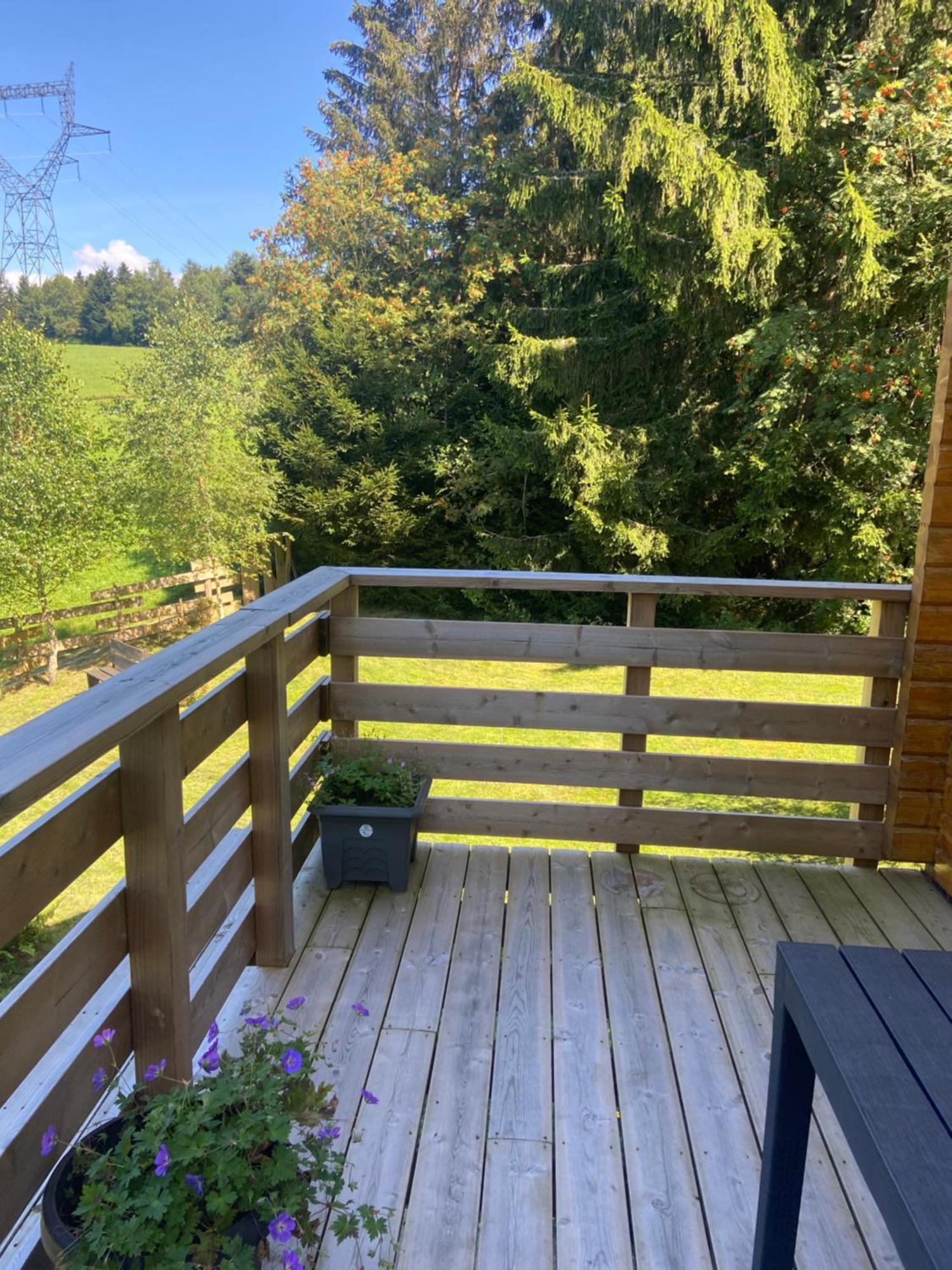 Chalet Authentique Au Calme, En Lisiere De Foret, Montagne, Sentiers 15Mn Gerardmer & Alsace "Chalet Mon Beau Sapin" Anould Esterno foto