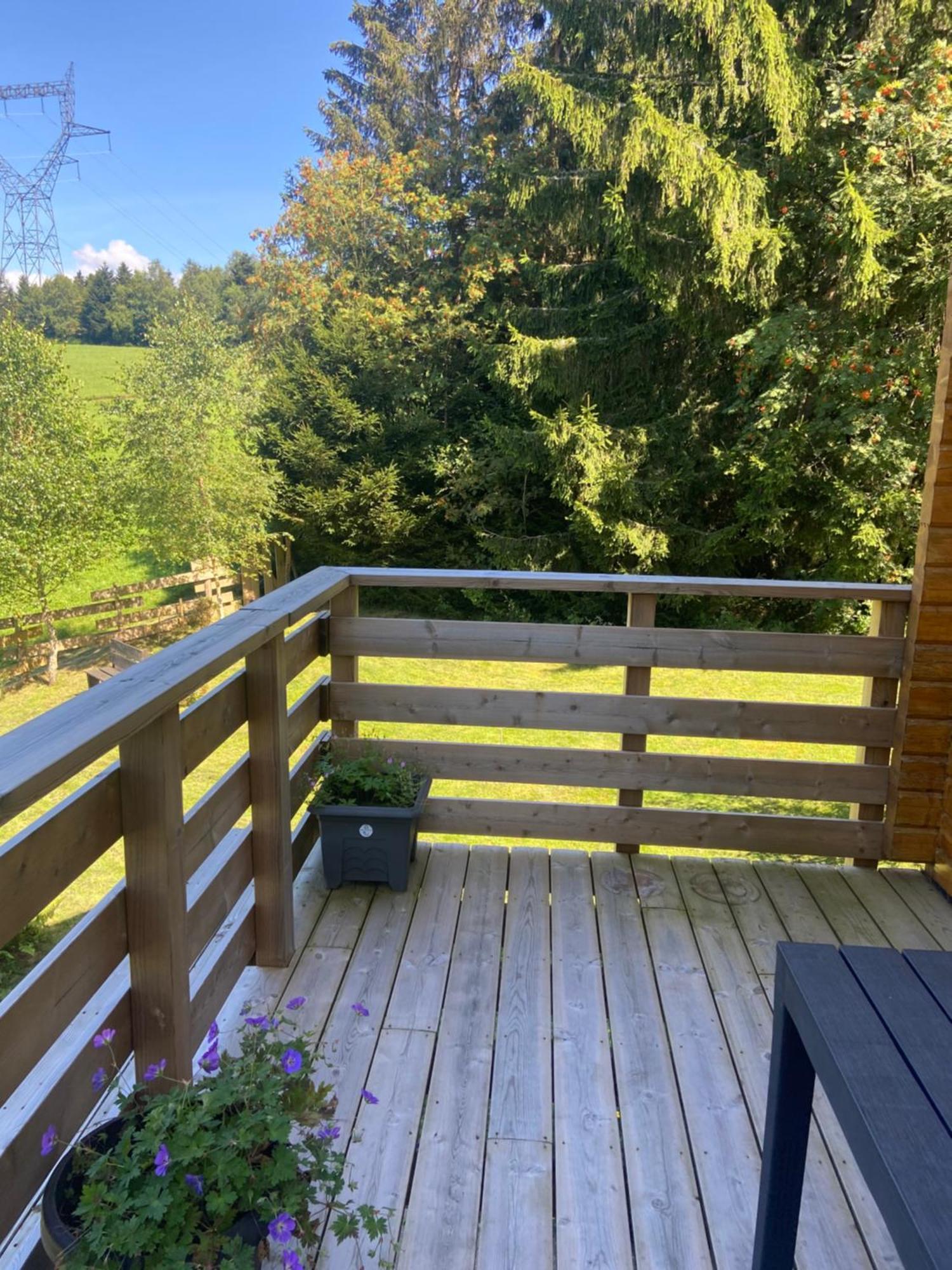 Chalet Chaleureux Avec Cheminee Et Vue Montagne Proche Gerardmer "Mon Beau Sapin" Villa Anould Esterno foto