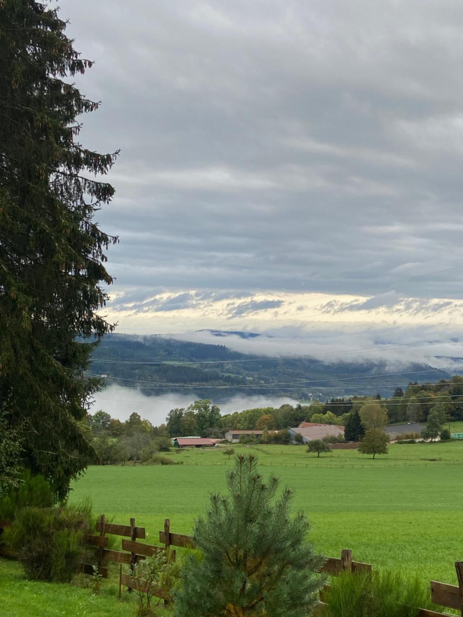 Chalet Authentique Au Calme, En Lisiere De Foret, Montagne, Sentiers 15Mn Gerardmer & Alsace "Chalet Mon Beau Sapin" Anould Esterno foto