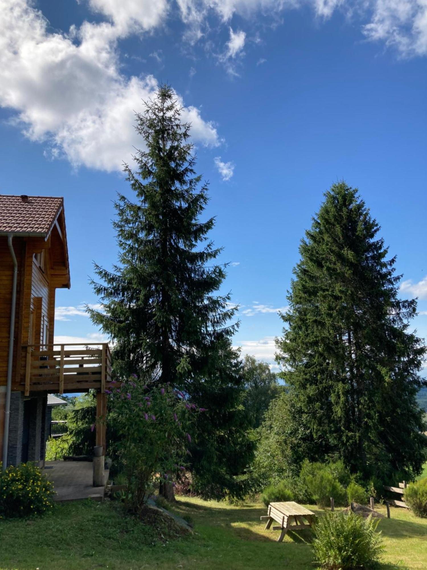 Chalet Chaleureux Avec Cheminee Et Vue Montagne Proche Gerardmer "Mon Beau Sapin" Villa Anould Esterno foto