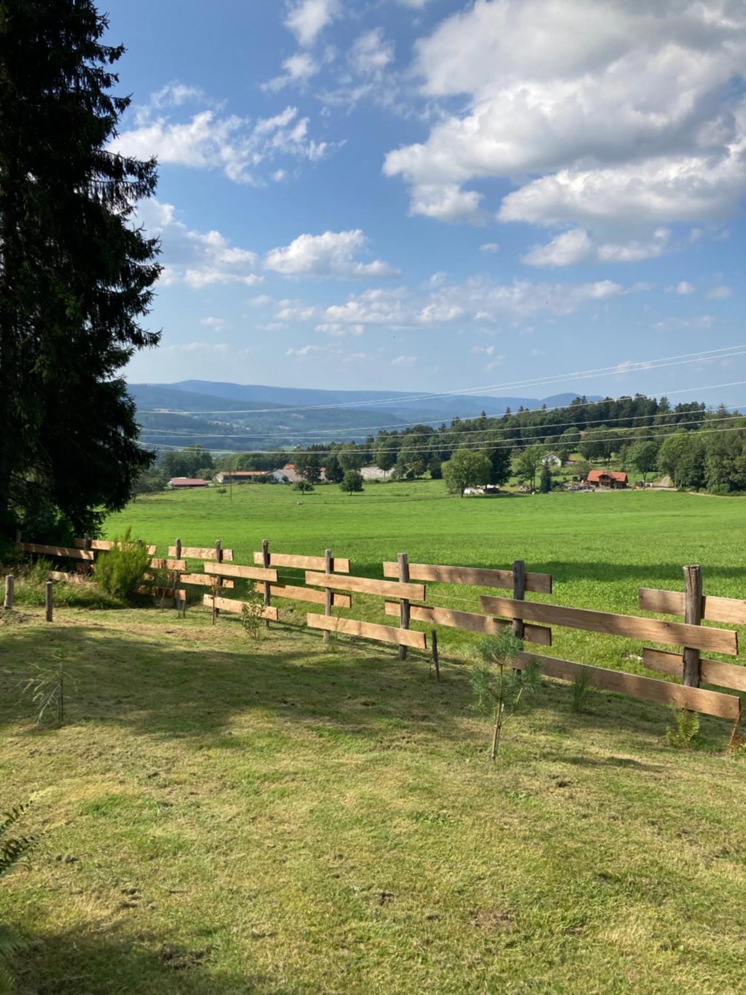 Chalet Authentique Au Calme, En Lisiere De Foret, Montagne, Sentiers 15Mn Gerardmer & Alsace "Chalet Mon Beau Sapin" Anould Esterno foto