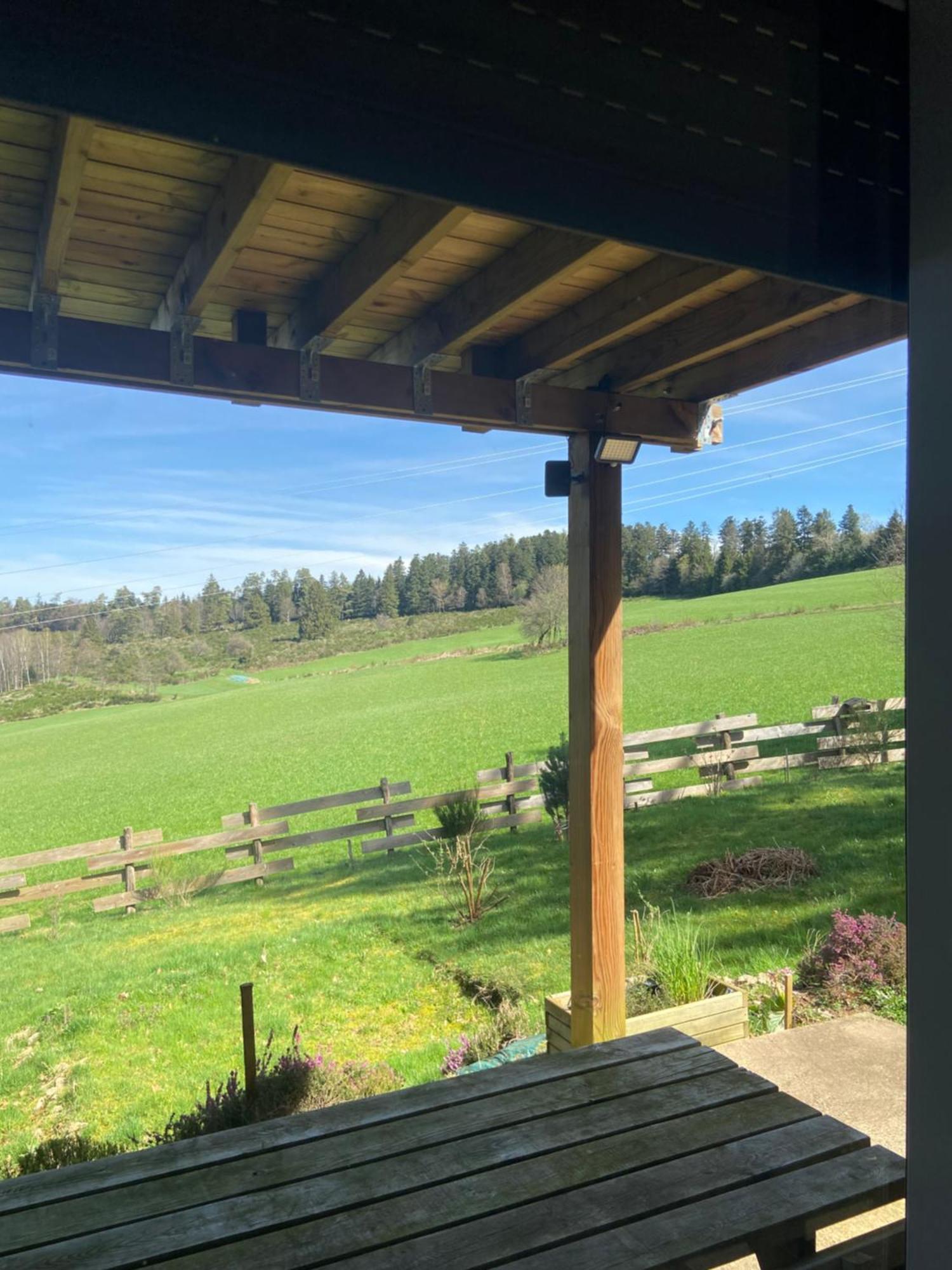 Chalet Chaleureux Avec Cheminee Et Vue Montagne Proche Gerardmer "Mon Beau Sapin" Villa Anould Esterno foto