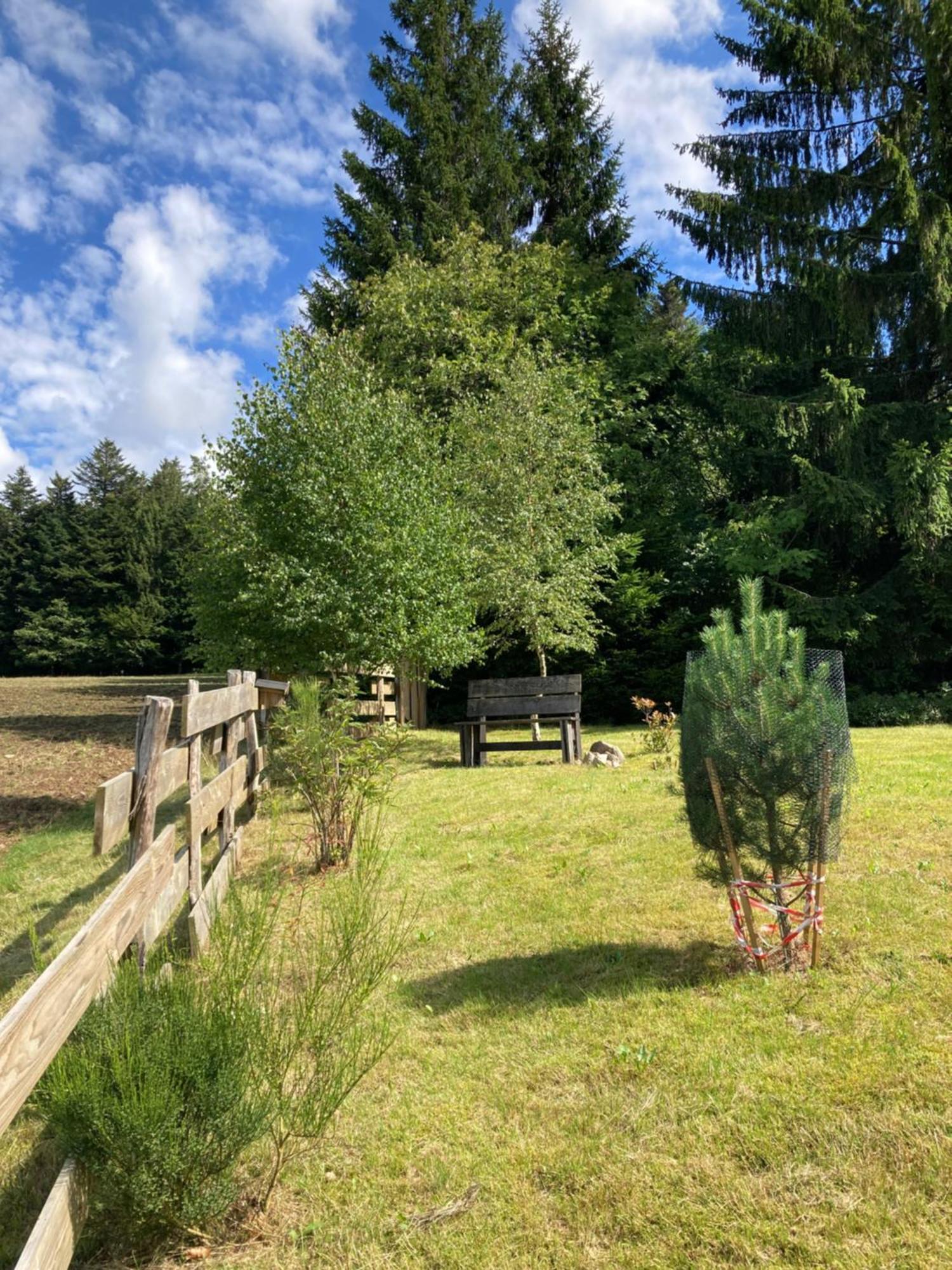 Chalet Authentique Au Calme, En Lisiere De Foret, Montagne, Sentiers 15Mn Gerardmer & Alsace "Chalet Mon Beau Sapin" Anould Esterno foto