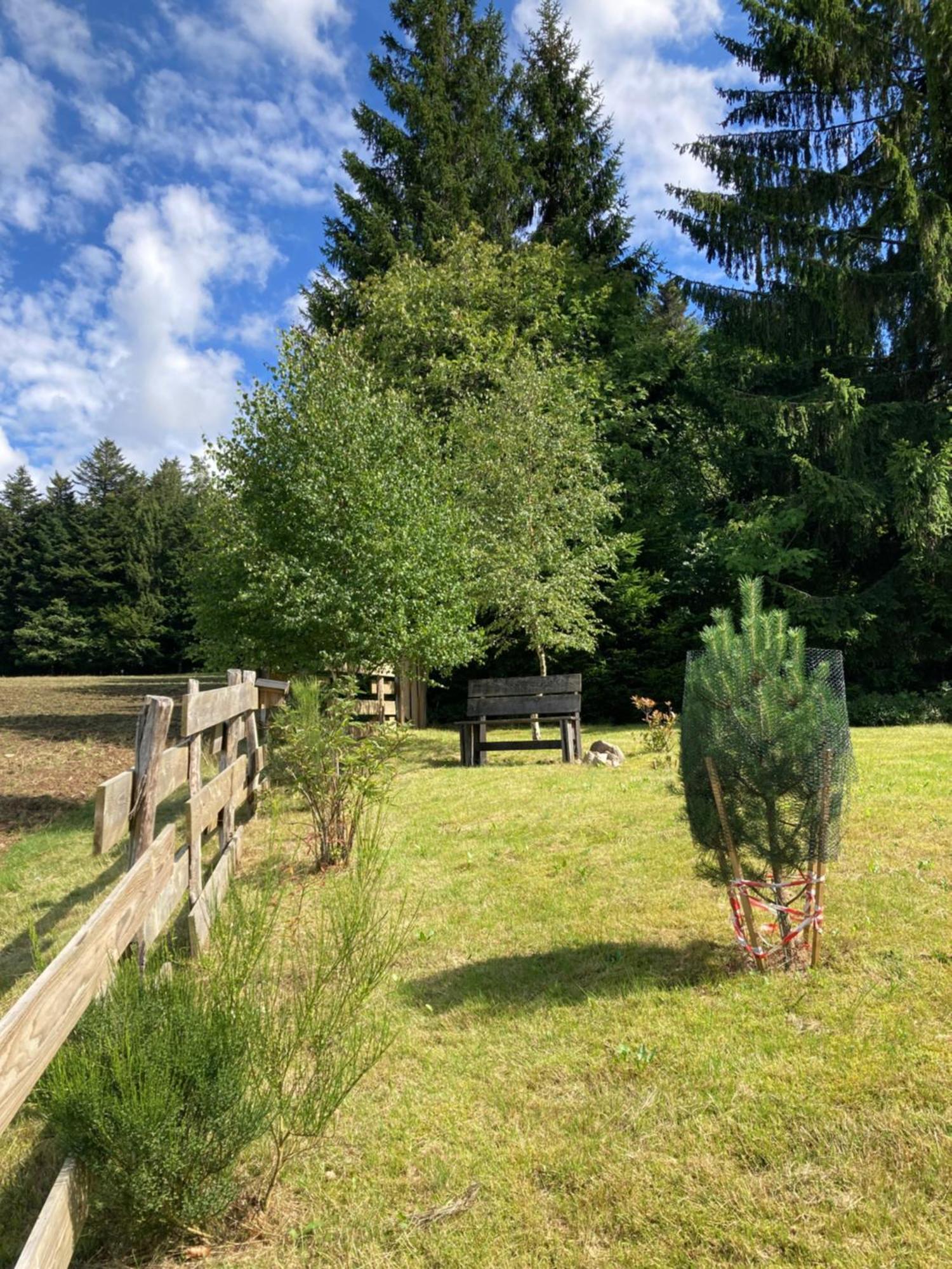 Chalet Chaleureux Avec Cheminee Et Vue Montagne Proche Gerardmer "Mon Beau Sapin" Villa Anould Esterno foto