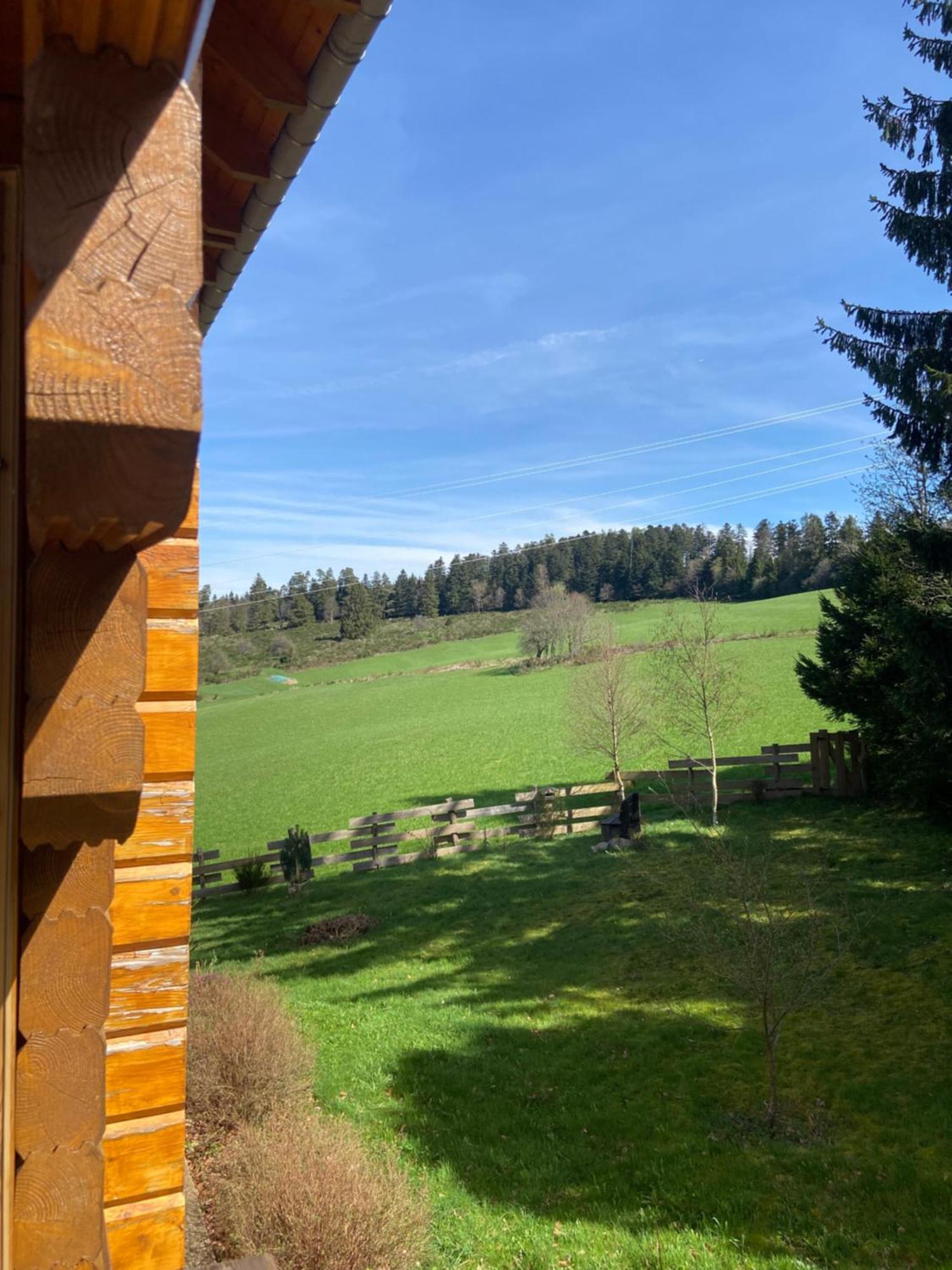 Chalet Chaleureux Avec Cheminee Et Vue Montagne Proche Gerardmer "Mon Beau Sapin" Villa Anould Esterno foto