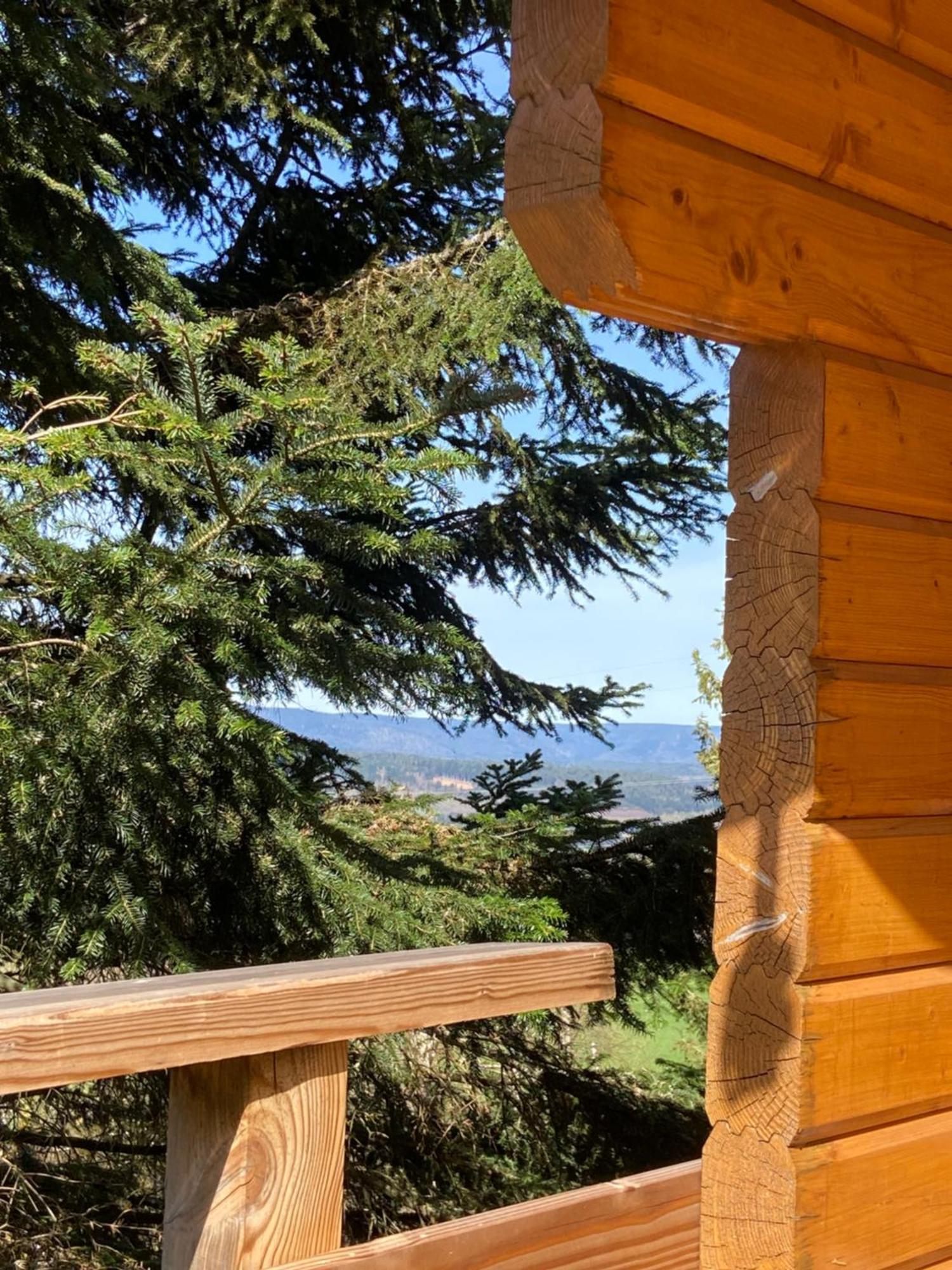 Chalet Chaleureux Avec Cheminee Et Vue Montagne Proche Gerardmer "Mon Beau Sapin" Villa Anould Esterno foto