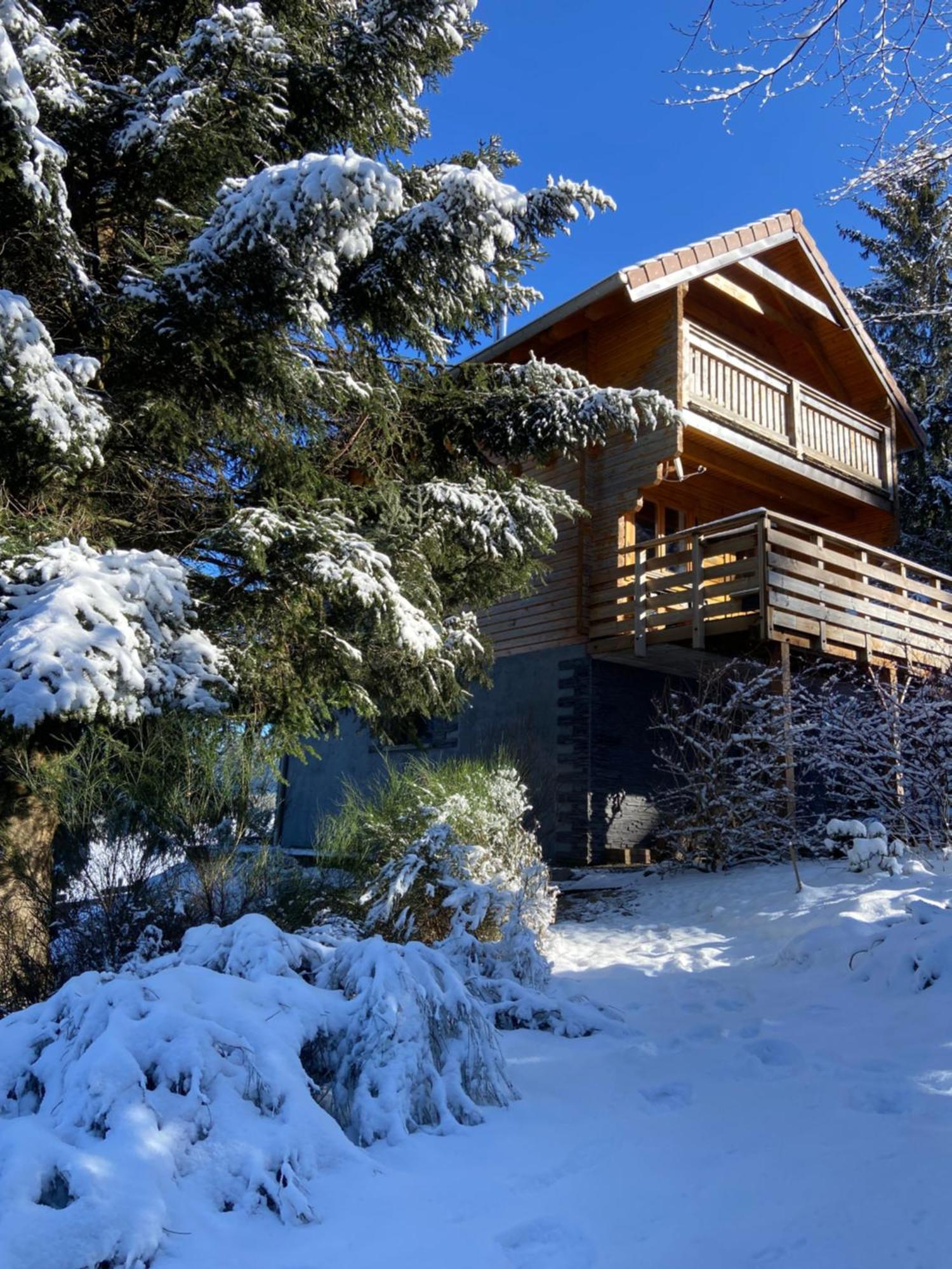 Chalet Authentique Au Calme, En Lisiere De Foret, Montagne, Sentiers 15Mn Gerardmer & Alsace "Chalet Mon Beau Sapin" Anould Esterno foto