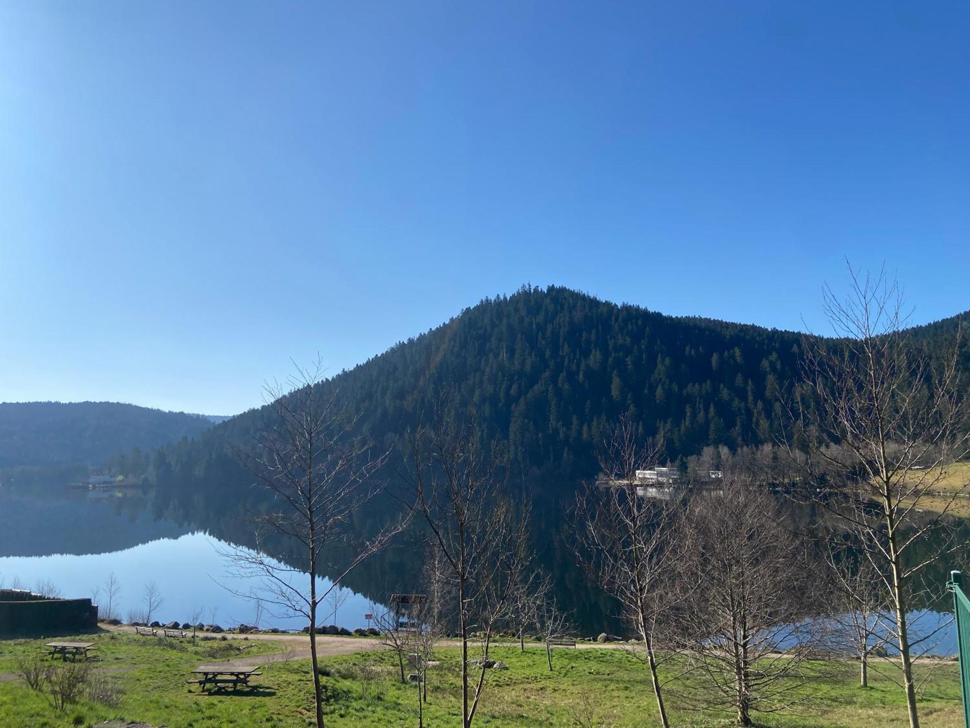 Chalet Authentique Au Calme, En Lisiere De Foret, Montagne, Sentiers 15Mn Gerardmer & Alsace "Chalet Mon Beau Sapin" Anould Esterno foto