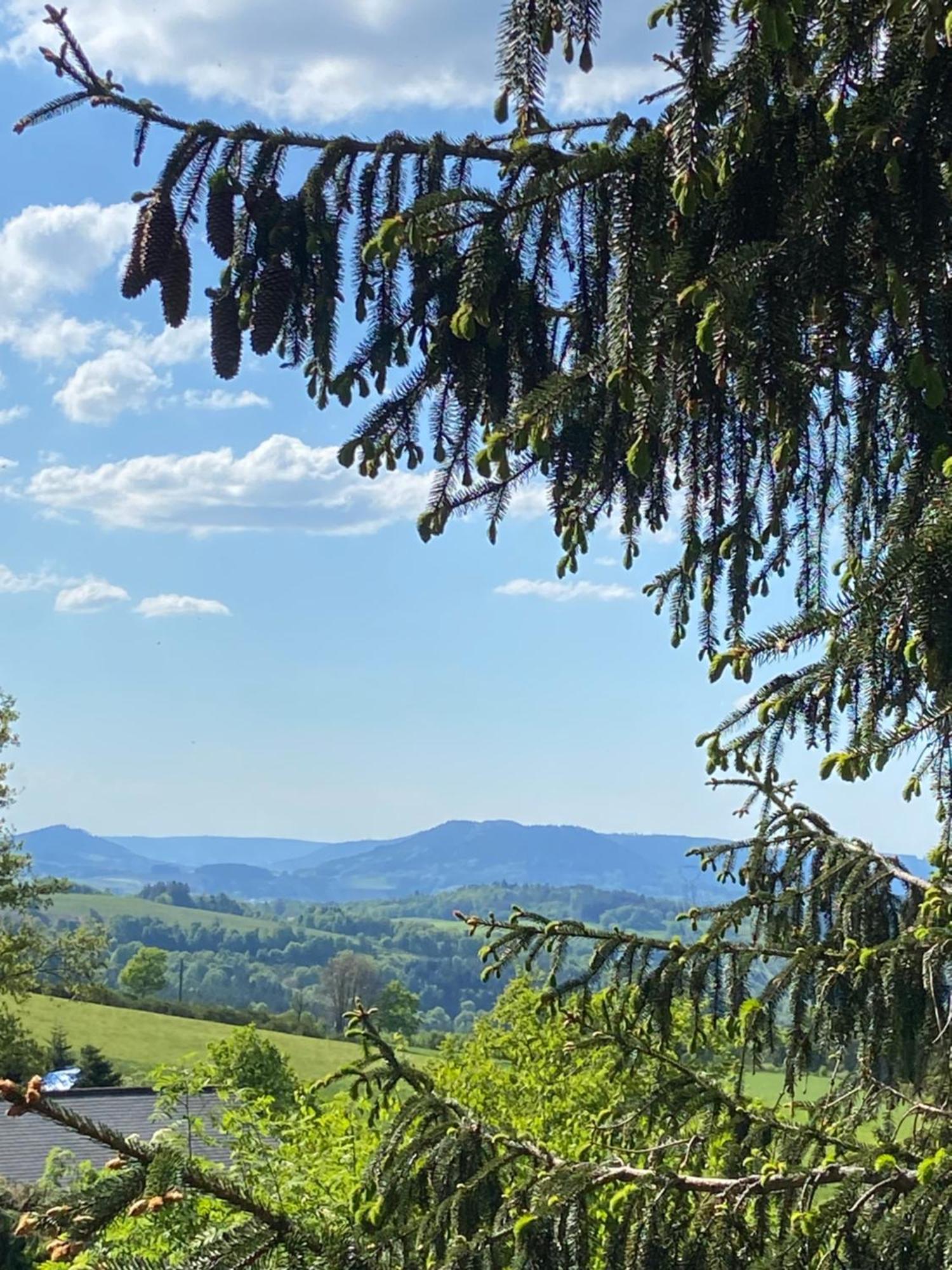 Chalet Authentique Au Calme, En Lisiere De Foret, Montagne, Sentiers 15Mn Gerardmer & Alsace "Chalet Mon Beau Sapin" Anould Esterno foto