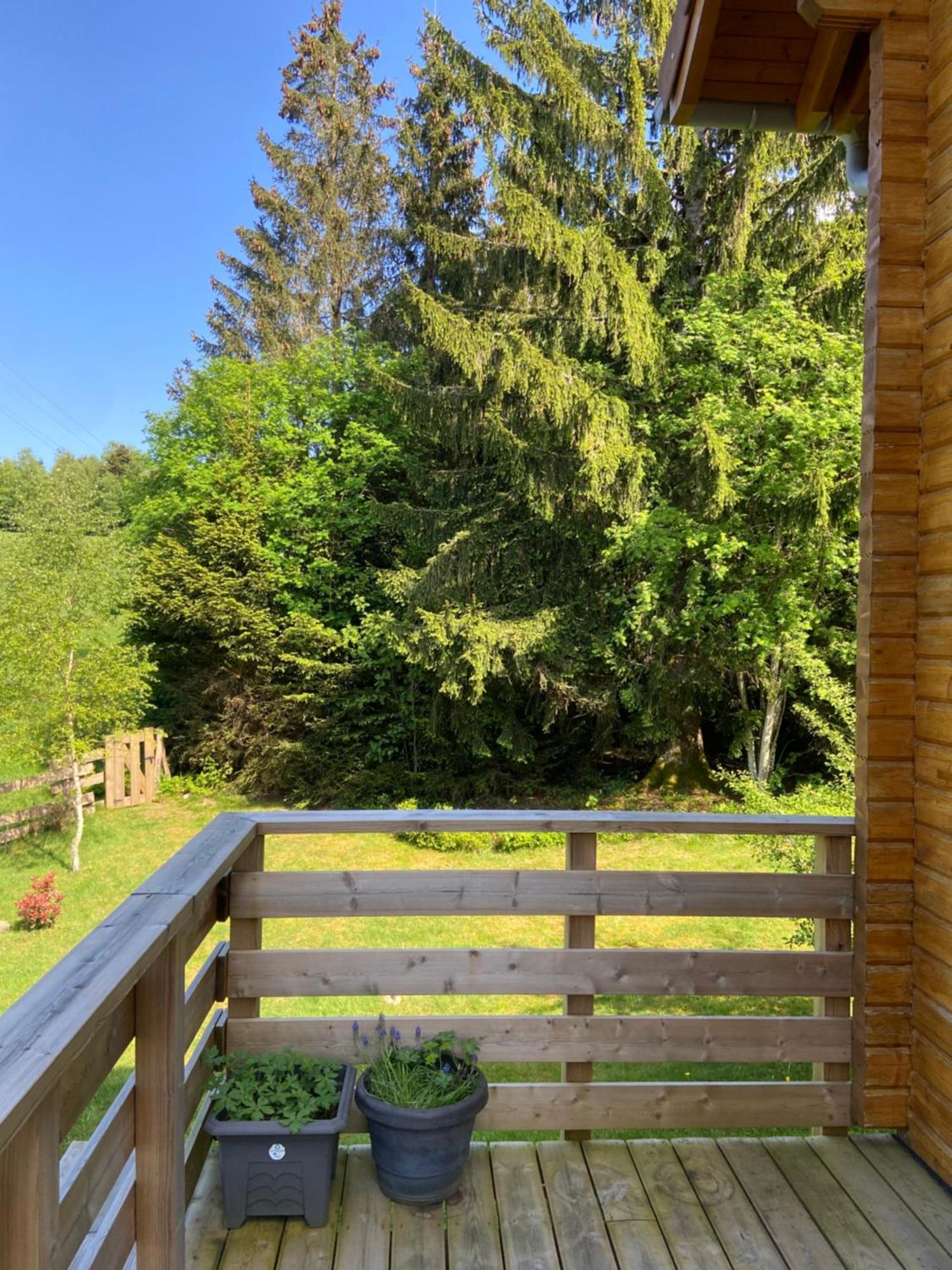 Chalet Authentique Au Calme, En Lisiere De Foret, Montagne, Sentiers 15Mn Gerardmer & Alsace "Chalet Mon Beau Sapin" Anould Esterno foto